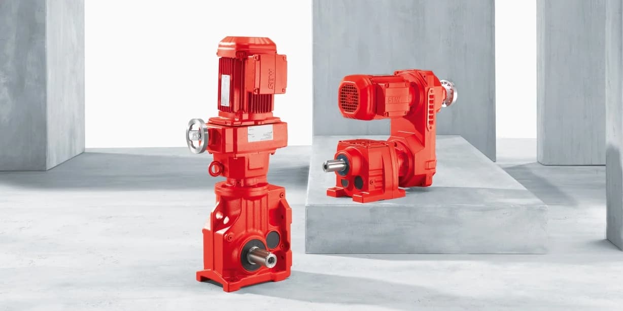Variable speed reduction motor